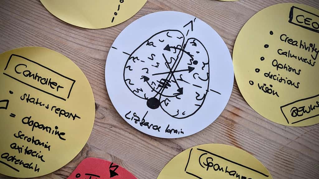 Several post-it notes are stuck on a wooden surface. In the centre, a drawing of a brain has arrows drawn within, tracing a figure of eight. Seen in part, two other notes detail: a 'Controller' with 'status report' and a list of hormones (dopamine, serotonin, oxitocin, adrenalin), and a 'CEO' which also has a list below it (creativity, calmness, options, decisions, vision).
